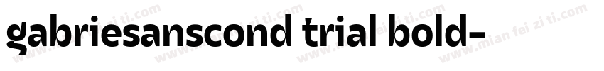 gabriesanscond trial bold字体转换